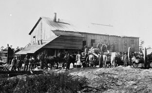 Freedmen working at Sawmill No. 1. They likely lived at Mitchelville.